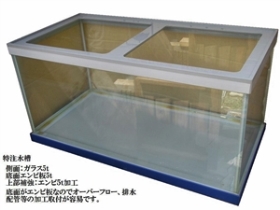 中古 ガラス水槽(底板は塩ビ板加工)