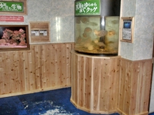 熊本県天草わくわく海中水族館